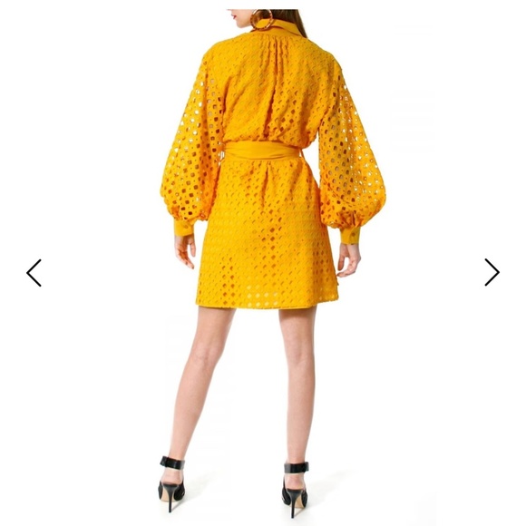 Aggi by Halewski Mona Sunflower Dress M Eyelet Lace Balloon Sleeve Shirt Dress - Picture 3 of 14